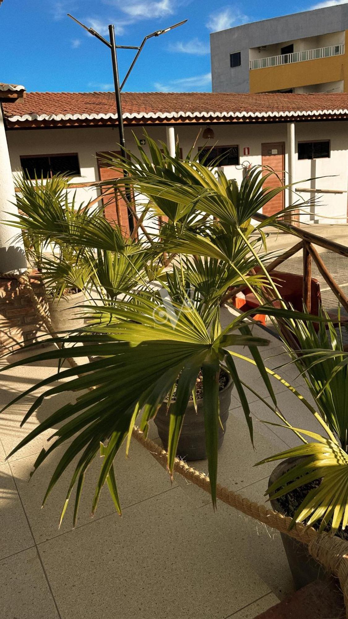 Village Comfort Hotel Canindé de São Francisco 외부 사진